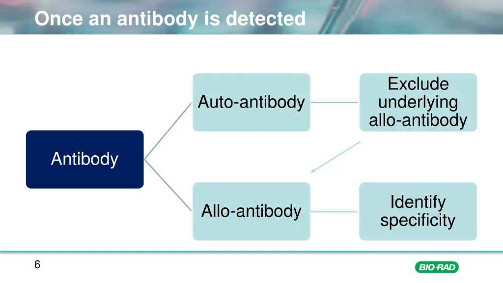 once an antibody is detected