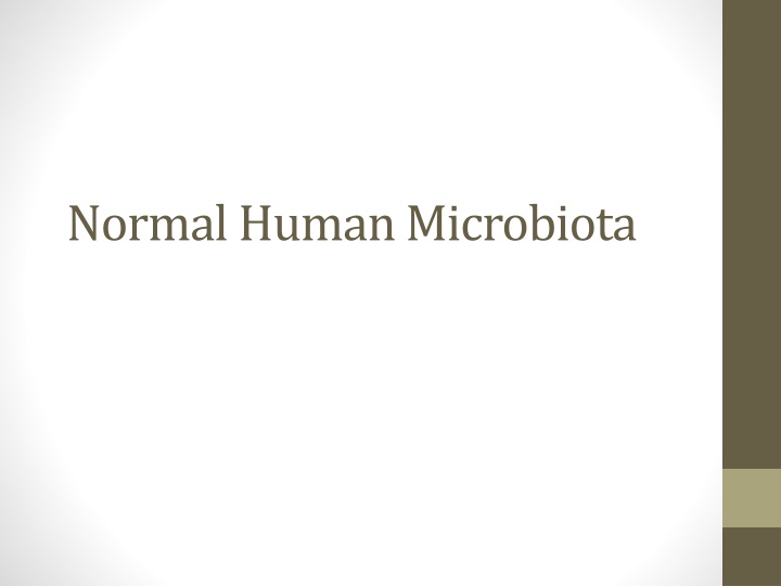 normal human microbiota