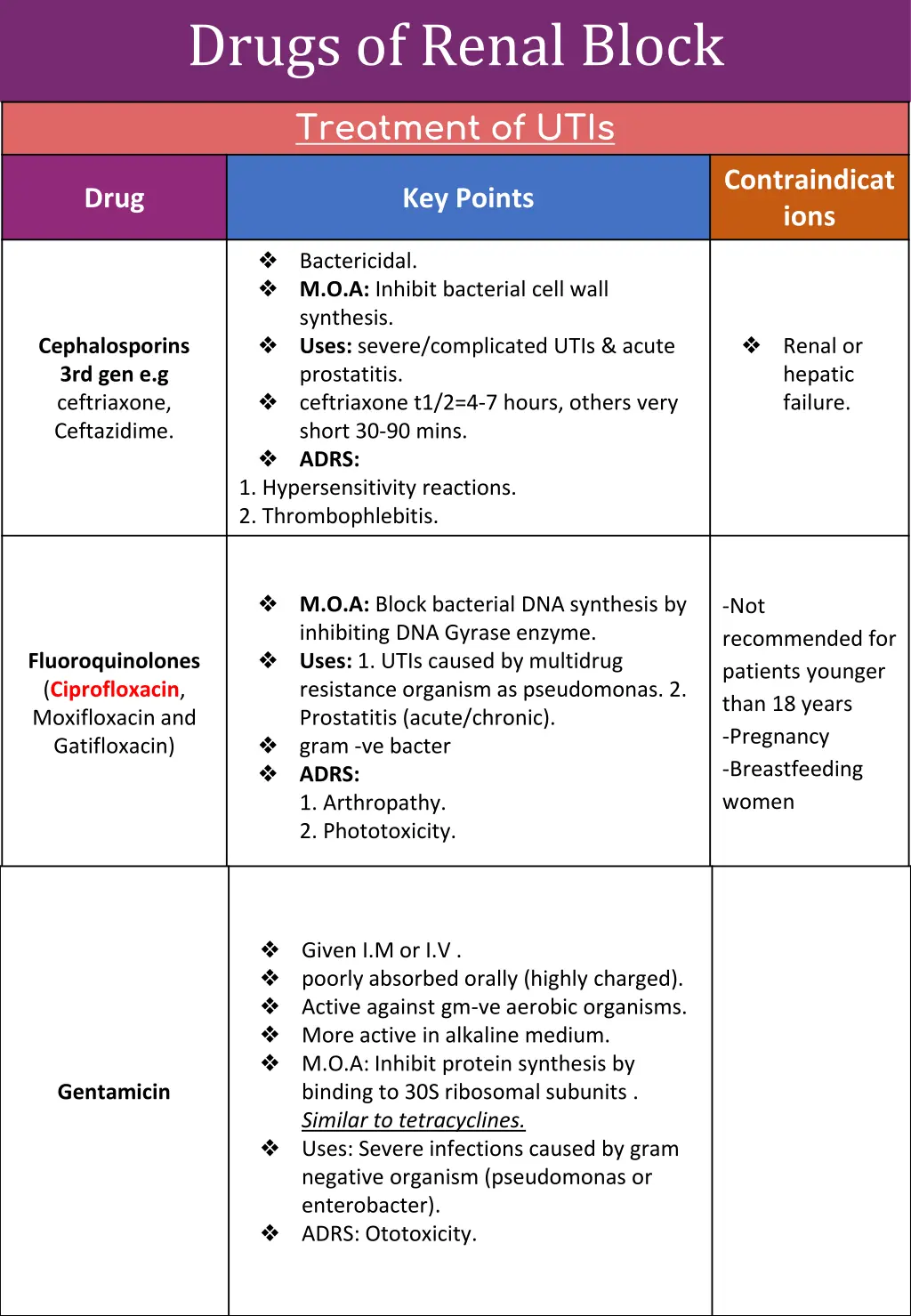 drugs of renal block 2