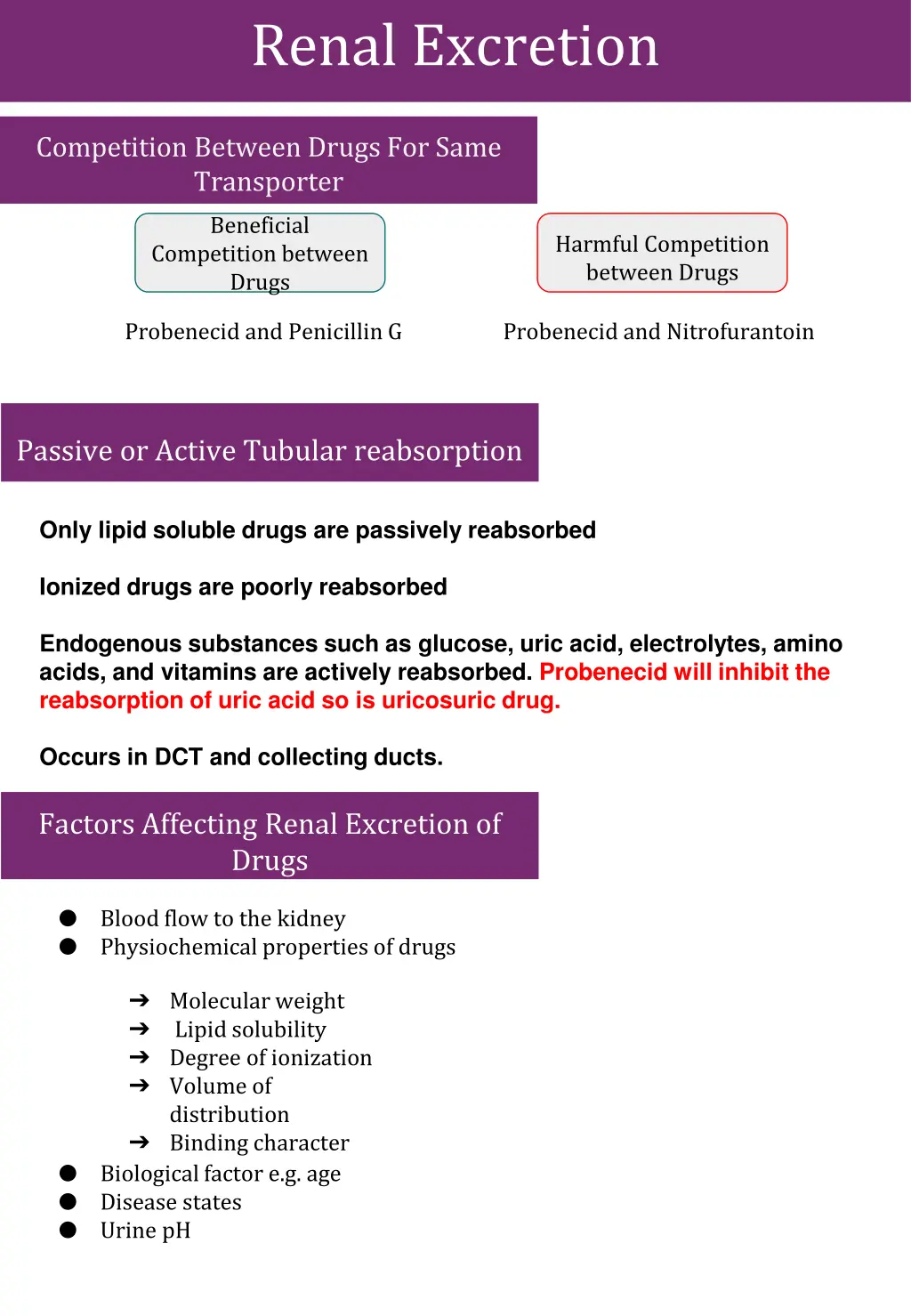 renal excretion 1