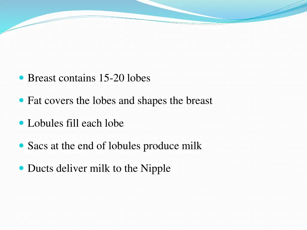 breast contains 15 20 lobes