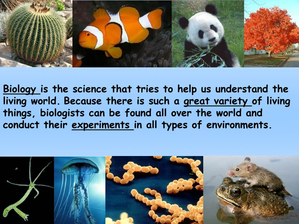 biology is the science that tries to help