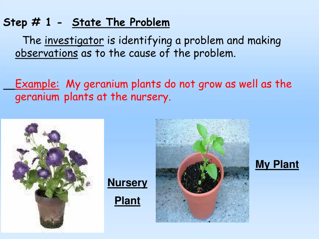 step 1 state the problem the investigator