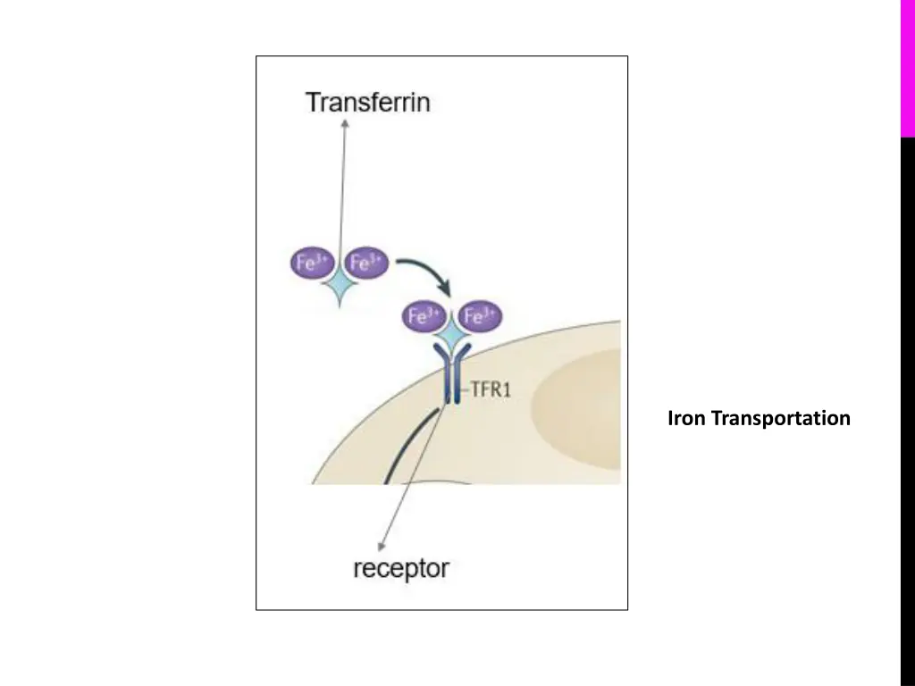 iron transportation 1