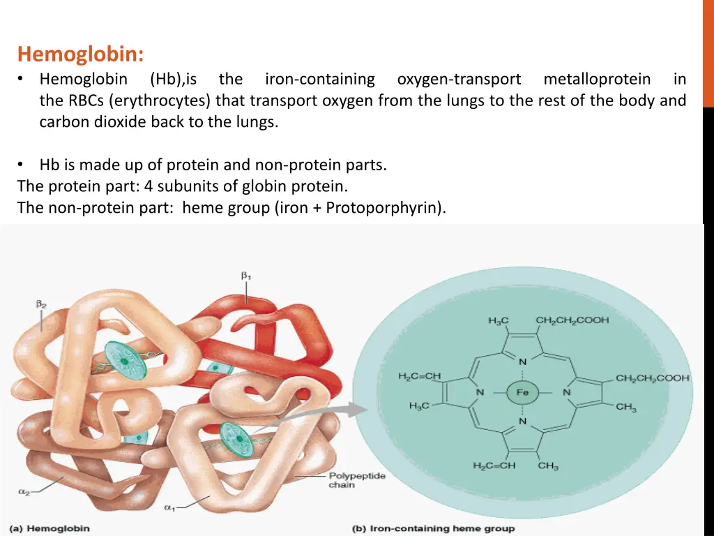 hemoglobin hemoglobin the rbcs erythrocytes that