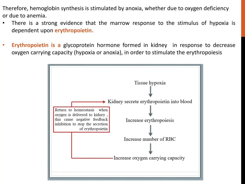 therefore hemoglobin synthesis is stimulated