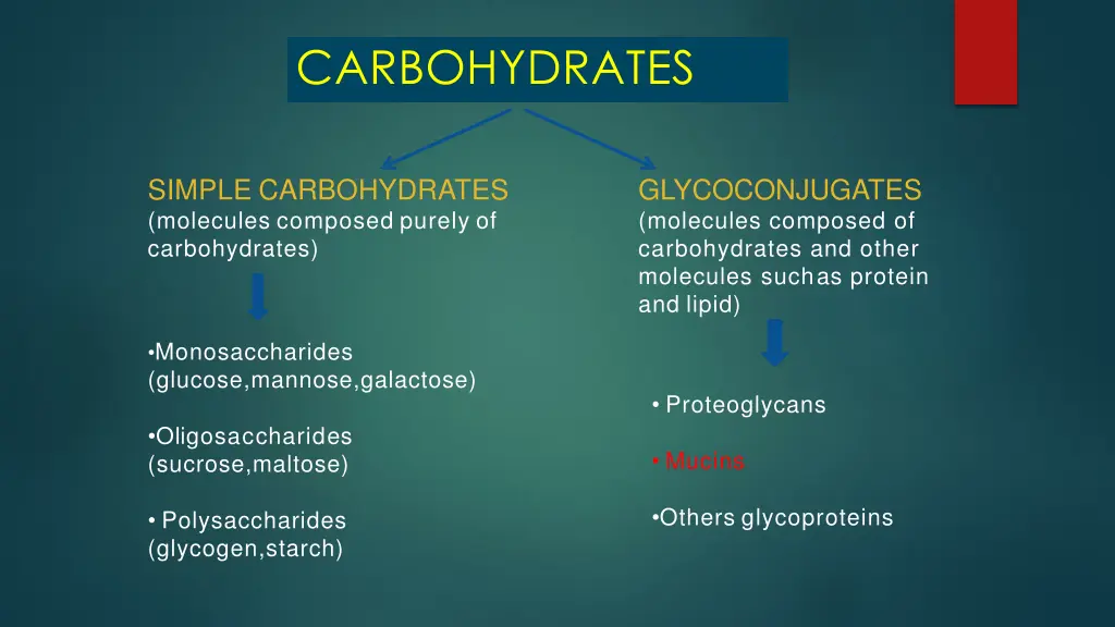 carbohydrates