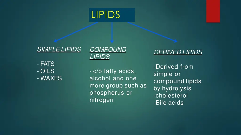 lipids