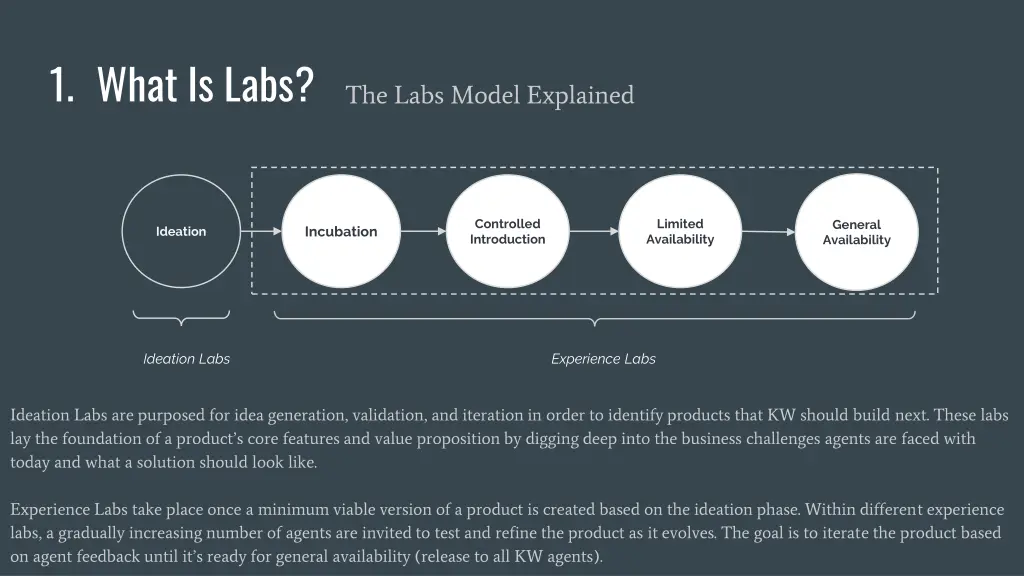 1 what is labs 1