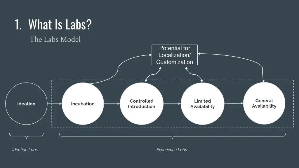 1 what is labs the labs model