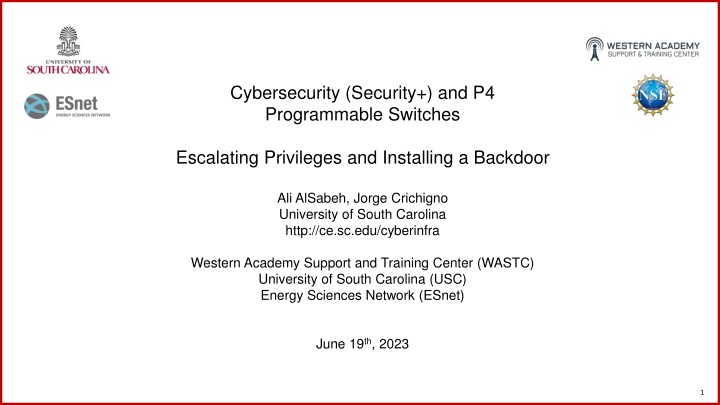 cybersecurity security and p4 programmable