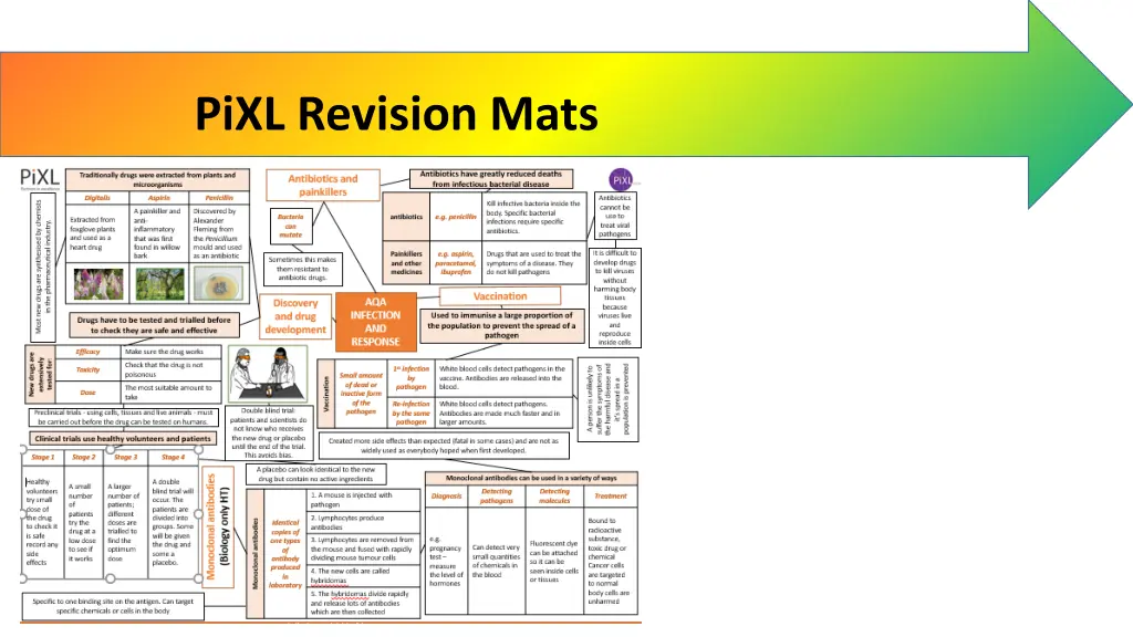 pixl revision mats