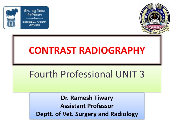 contrast radiography