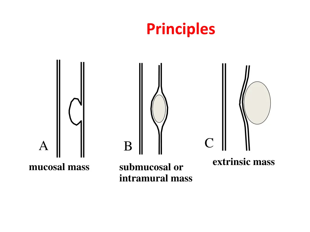 principles