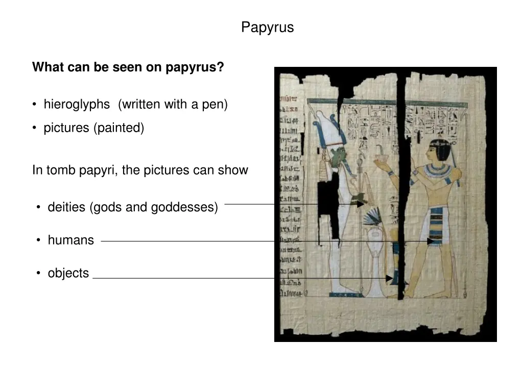 papyrus 2