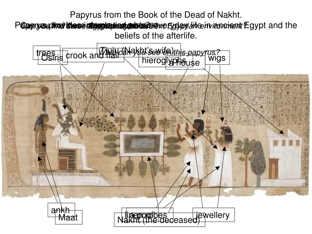 papyrus from the book of the dead of nakht