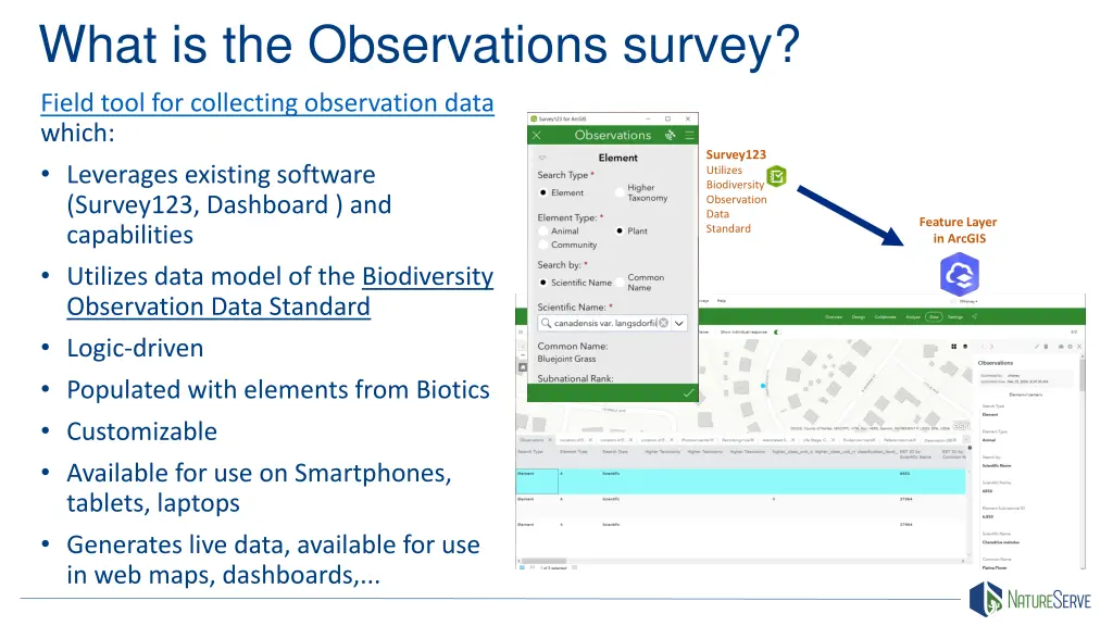 what is the observations survey