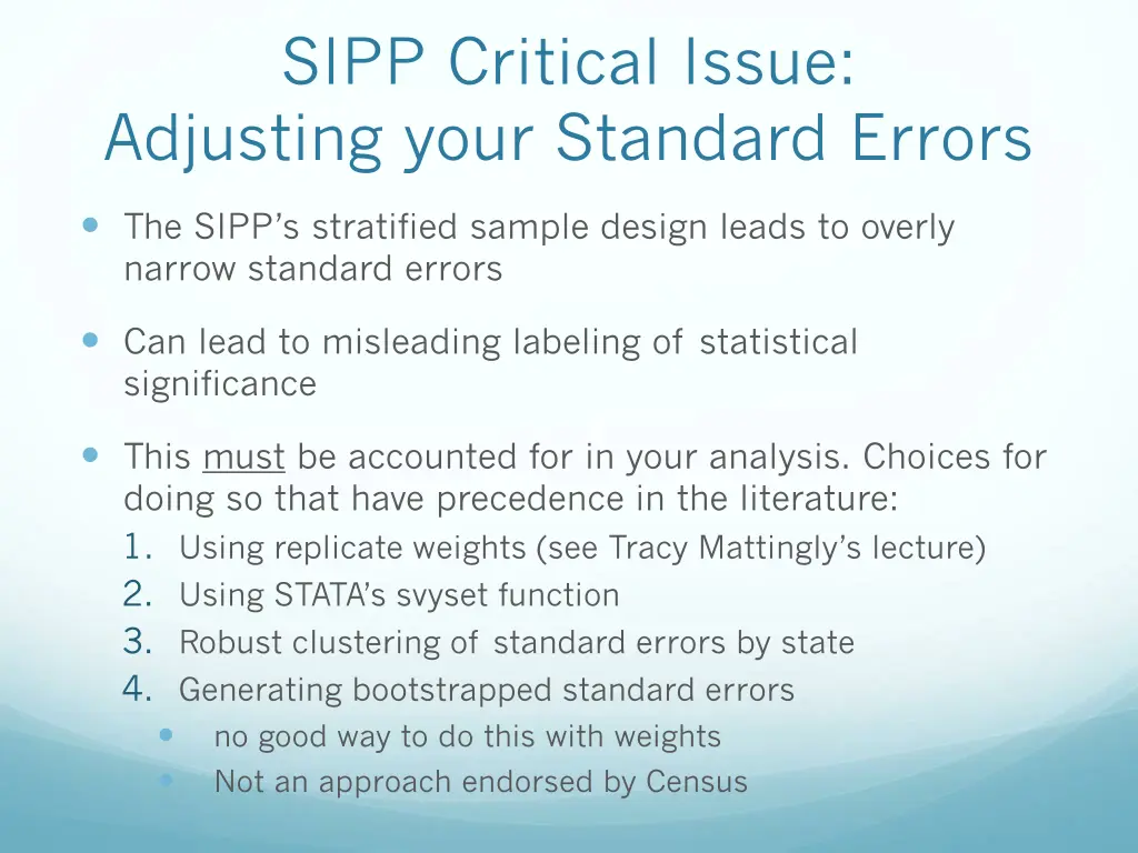 sipp critical issue adjusting your standard errors