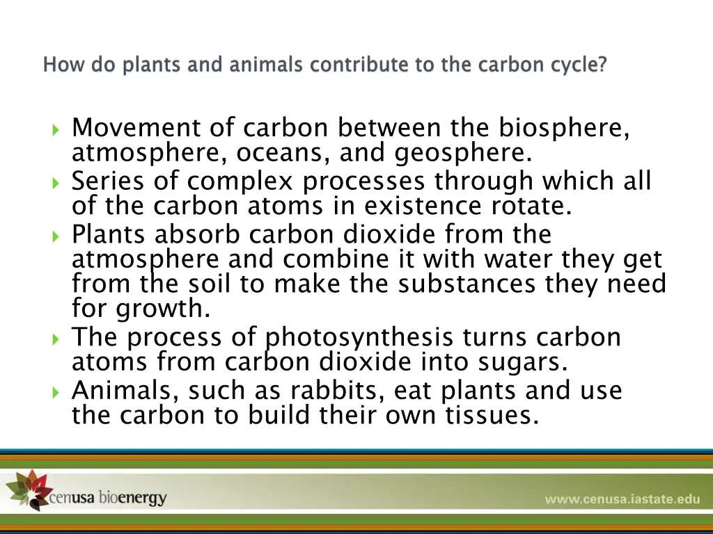 movement of carbon between the biosphere