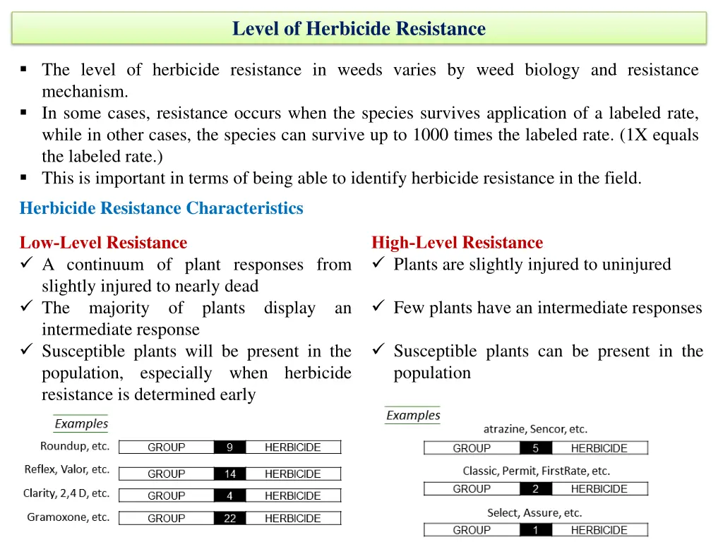 level of herbicide resistance