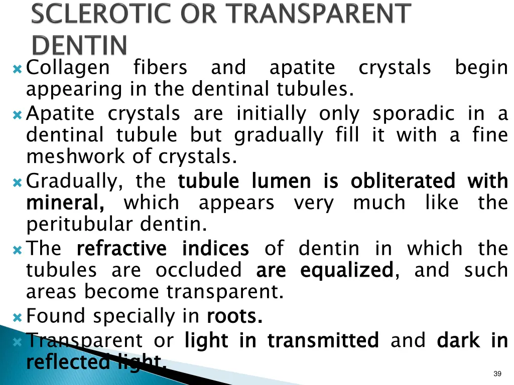 collagen fibers and apatite crystals begin