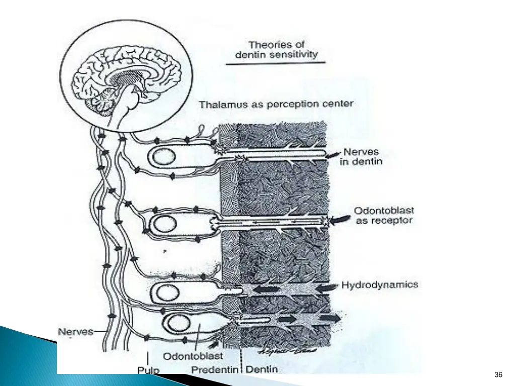 slide36