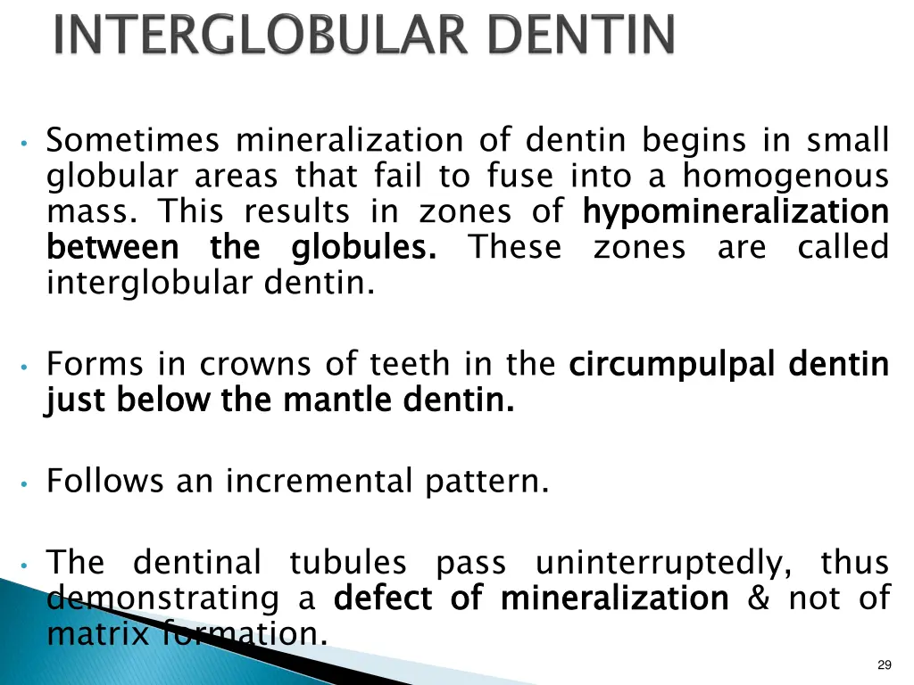 sometimes mineralization of dentin begins