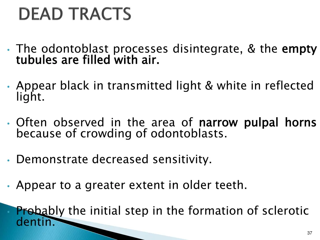 the odontoblast processes disintegrate the empty