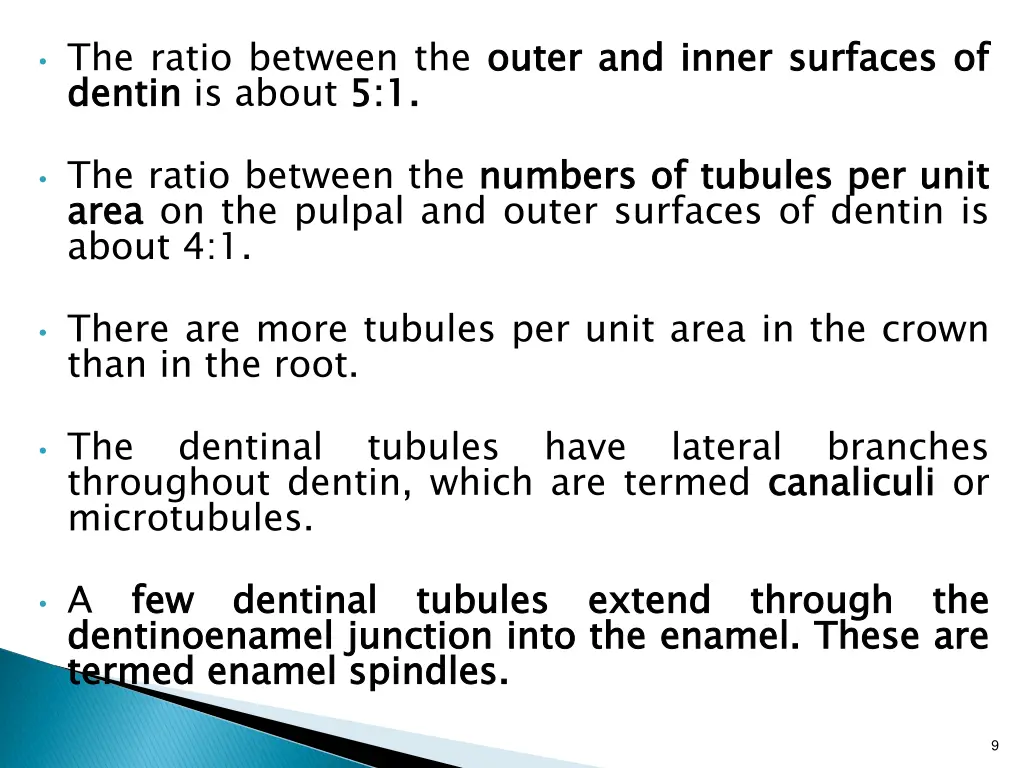 the ratio between the outer dentin