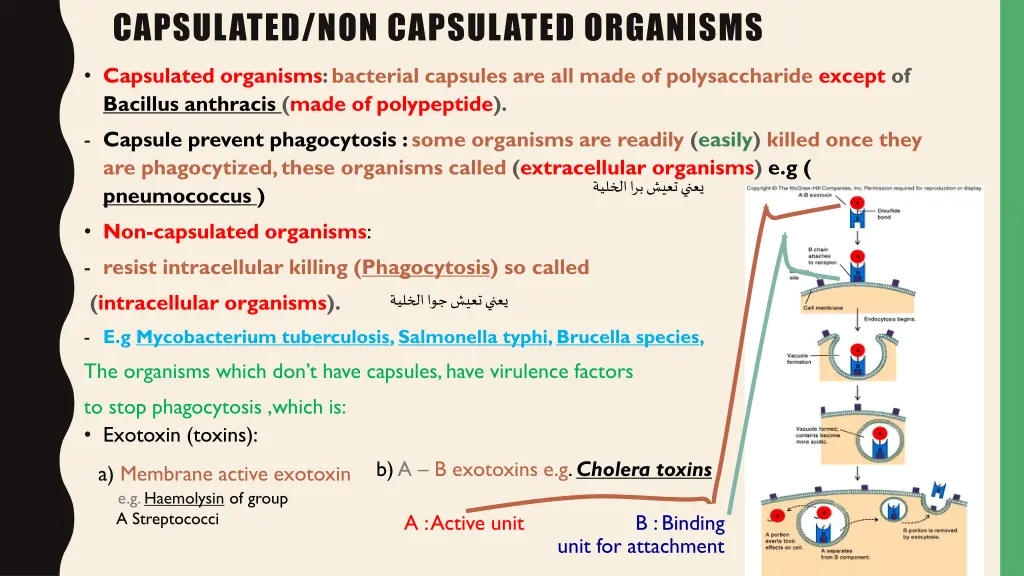 capsulated non capsulated organisms