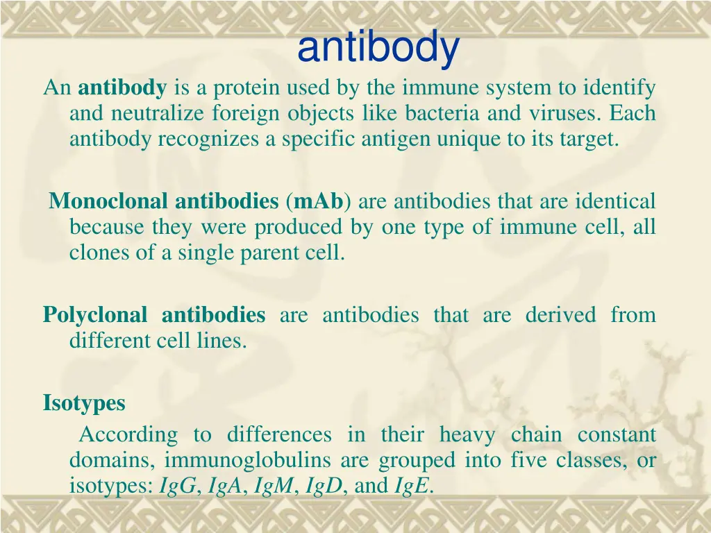 antibody