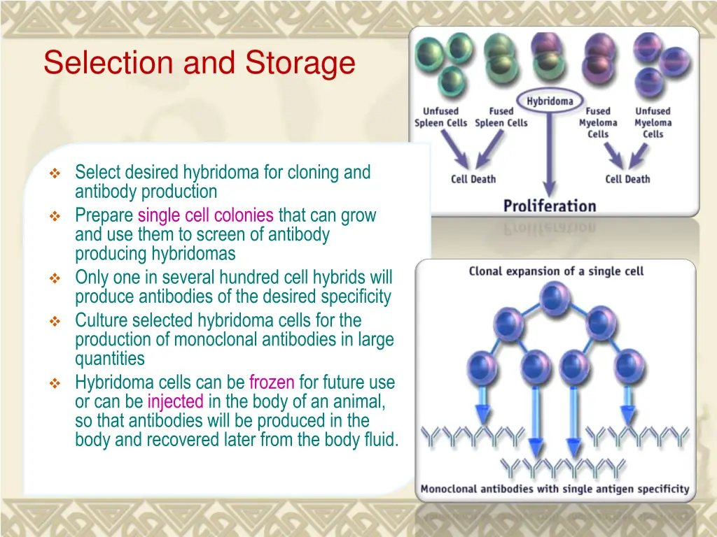 selection and storage