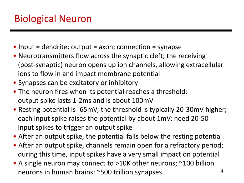 biological neuron 2