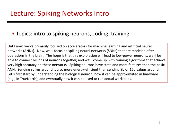 lecture spiking networks intro