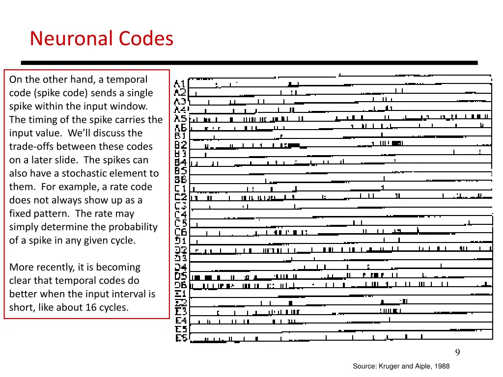 neuronal codes 1