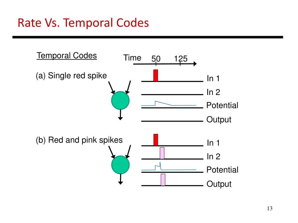 rate vs temporal codes 1