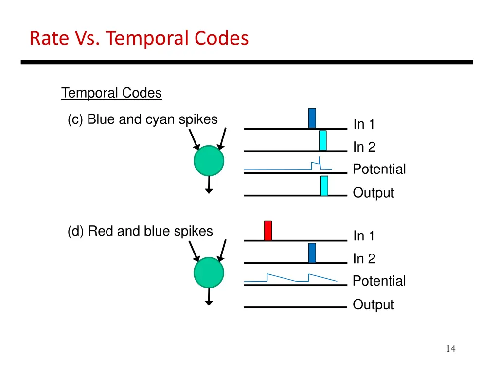 rate vs temporal codes 2