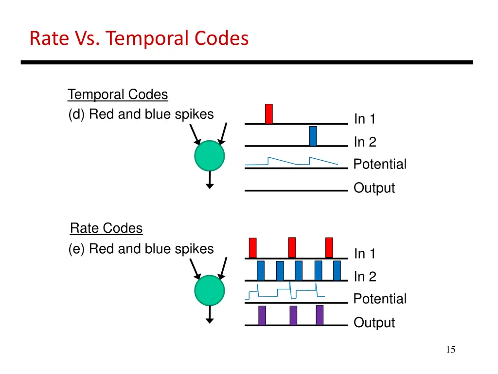 rate vs temporal codes 3