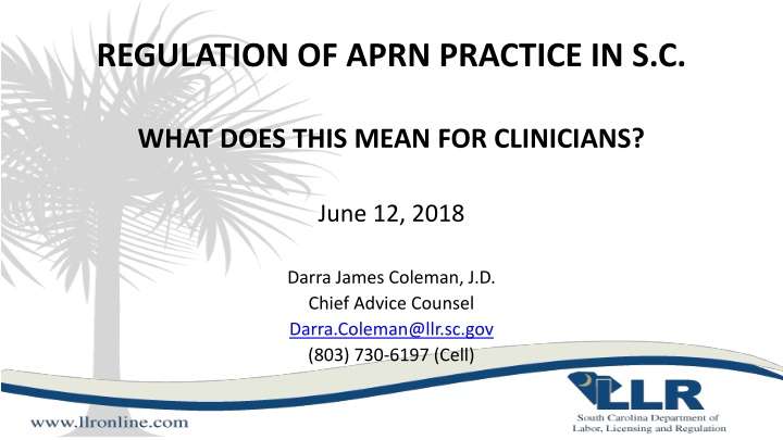 regulation of aprn practice in s c