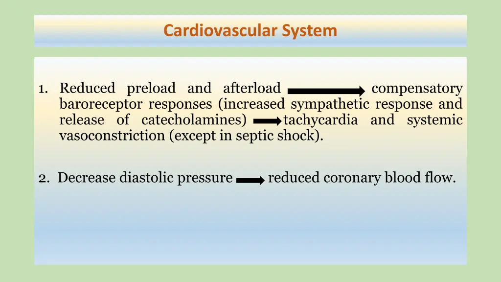 cardiovascular system