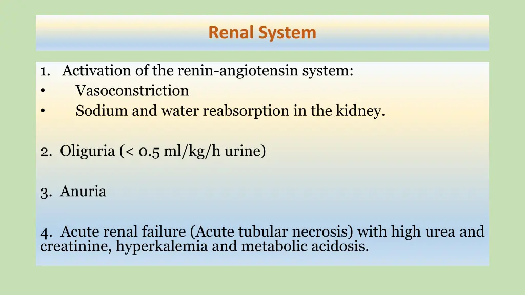 renal system