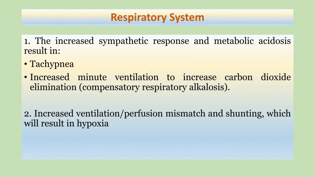 respiratory system