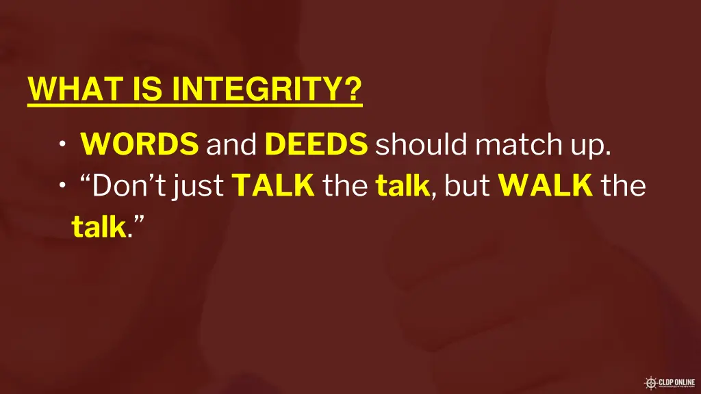 what is integrity