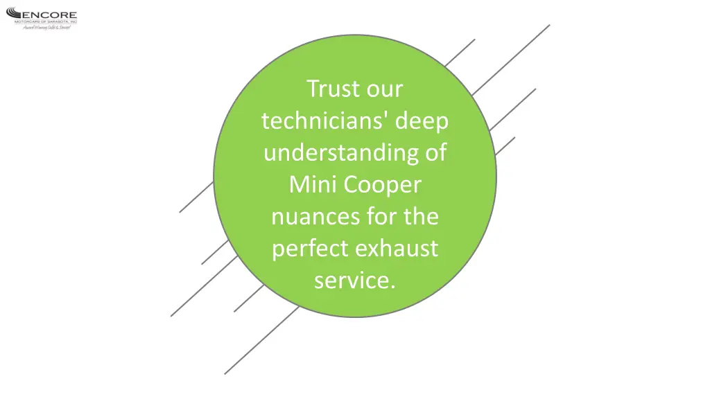 trust our technicians deep understanding of mini