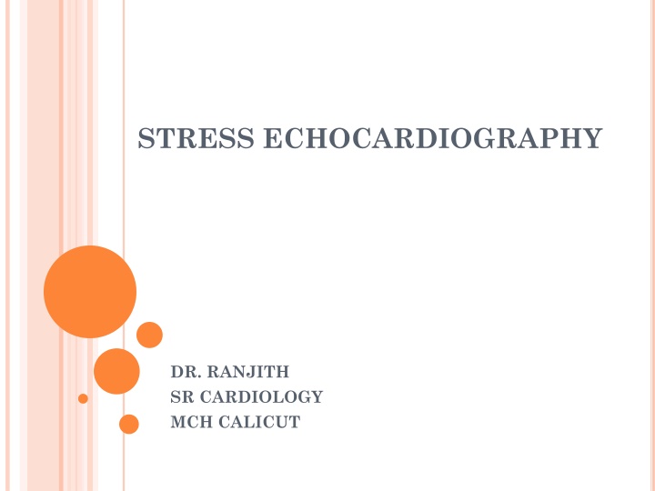 stress echocardiography