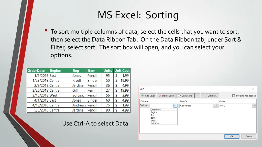 ms excel sorting 1