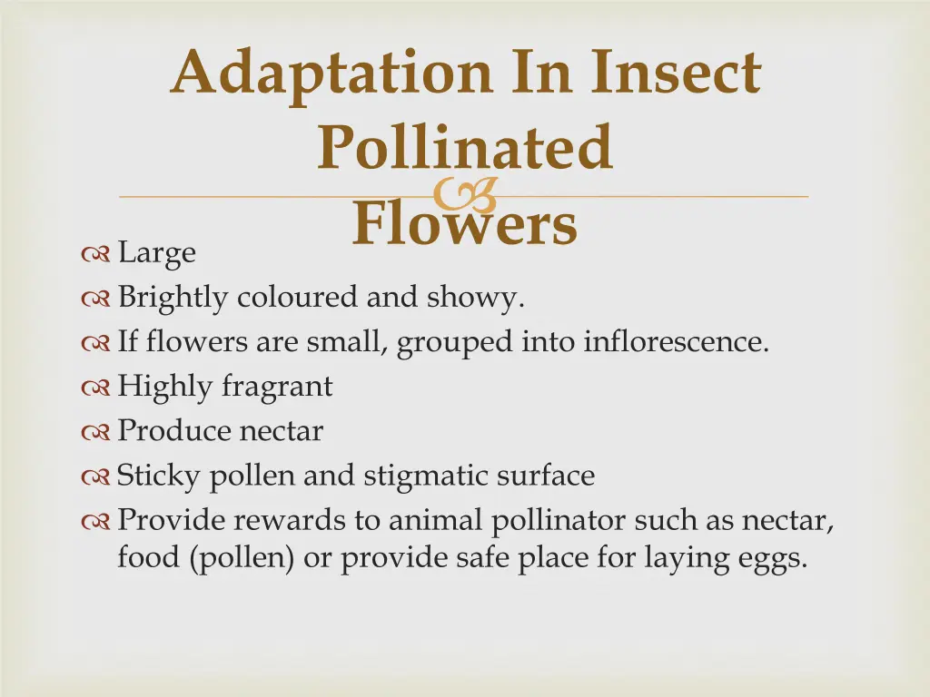 adaptation in insect pollinated flowers