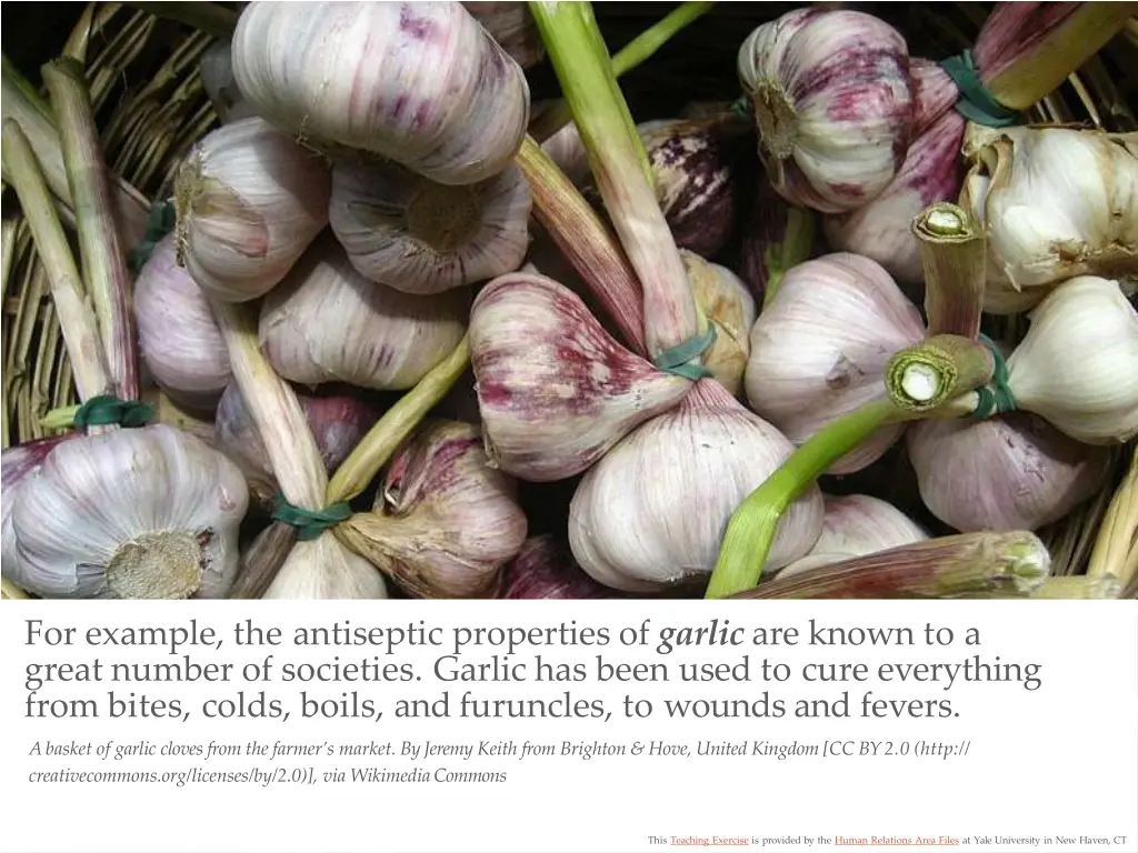 for example the antiseptic properties of garlic