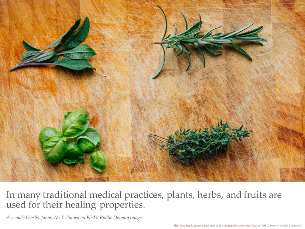 in many traditional medical practices plants