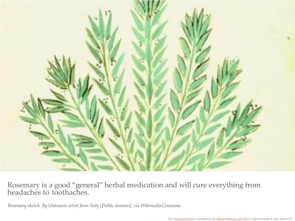 rosemary is a good general herbal medication